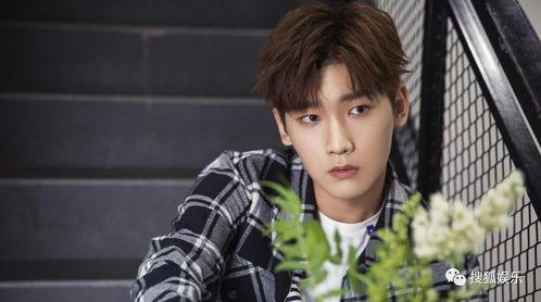 娱乐大爆料张婧仪魏大勋,娱乐圈新恋情来袭，甜蜜互动引热议